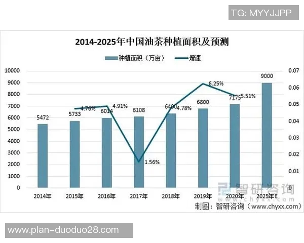 国家足球队外籍教练的影响力与发展趋势分析